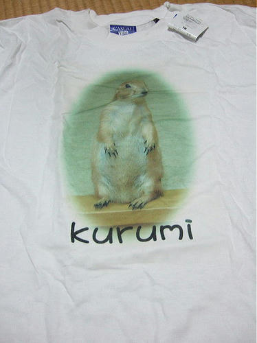 kurumi.jpg