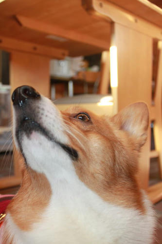 12010812.jpg