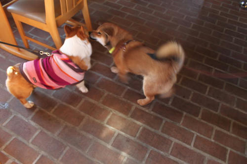 12010815.jpg