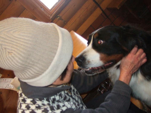1201093.jpg