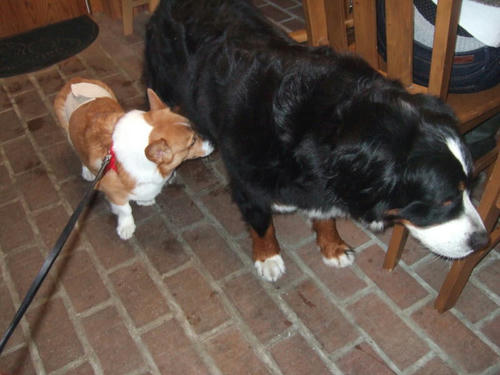 1201094.jpg