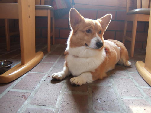 1201099.jpg