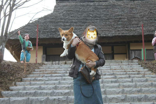 kibi18.jpg