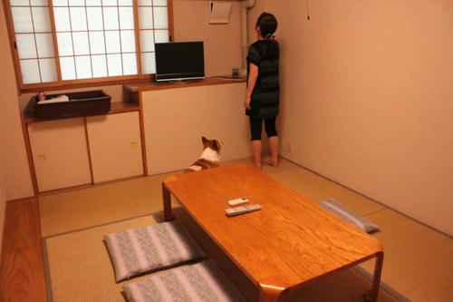kinosaki6.jpg