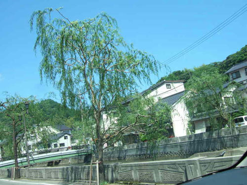 kinosaki12.jpg