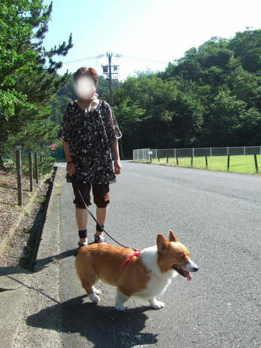 kinosaki14.jpg