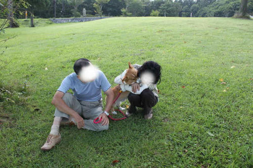 201209182.jpg