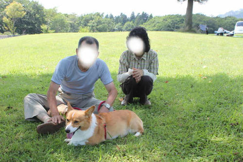 201209183.jpg