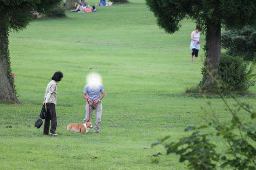 201209184.jpg
