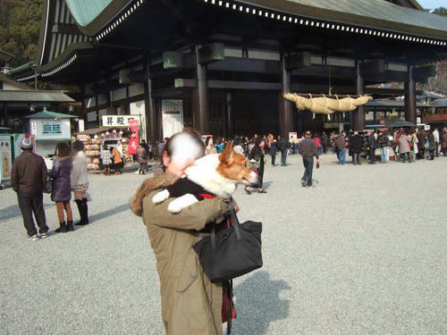 inari2.jpg