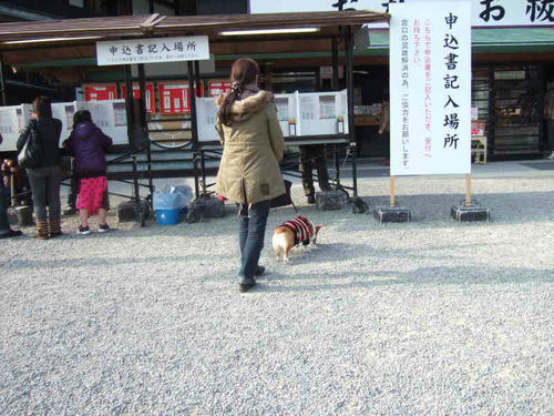inari4.jpg