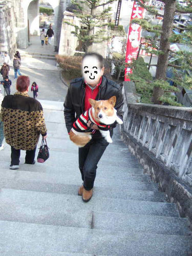 inari6.jpg