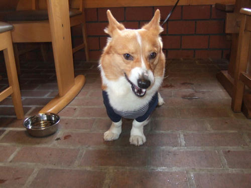 camera3.jpg