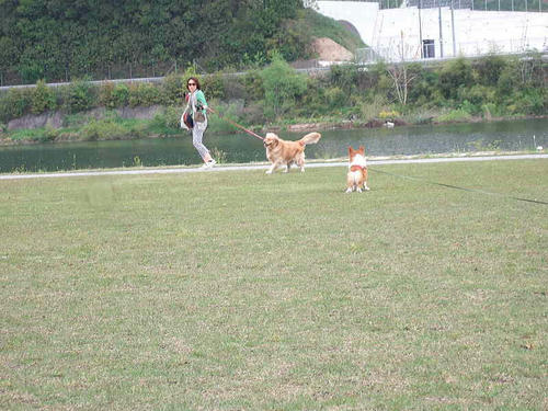 04293.jpg
