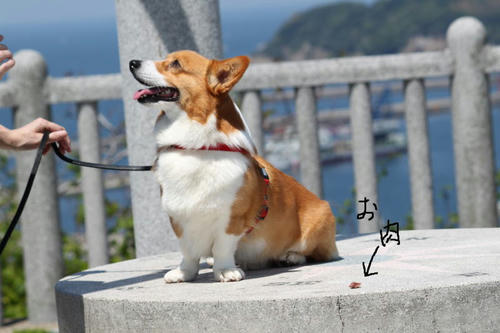 hamada2.jpg