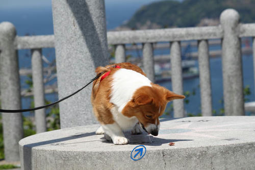 hamada3.jpg
