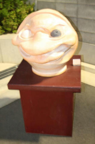 027fd3d8.JPG