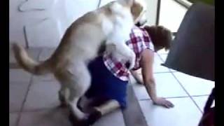 熟女好きの犬が大フィーバー。おばさんを襲う。