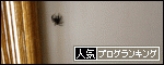 banner_20090908.gif