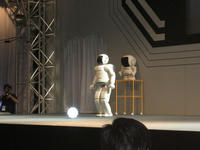 IMG_0957.JPG