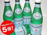 直輸入『サンペレグリノ』 500mlペットボトル 1ケース（24本）【送料無料】