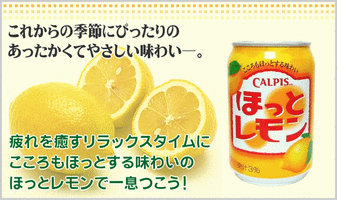 カルピス『ほっとレモン』 280g缶x48本