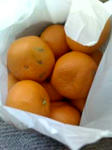 16-12-07_1212.jpg