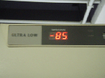 P7260236.gif