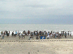 P1040508.gif