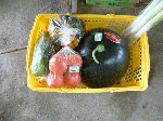 P1040511.gif