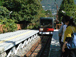 P1040577.gif