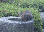 PA180927.gif