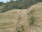P1040604.gif