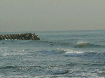 P1050574.gif