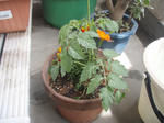 P5040200.JPG
