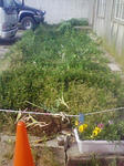 200805071634000.jpg