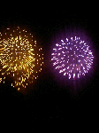 hanabi2.gif