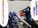 e9937d87.jpg