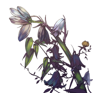 bluebell_t2.png