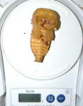 kalinpong35g.JPG