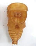 sikkim29wf1a.JPG
