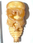 sagarumata29g3.JPG