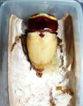 monkai31a.JPG