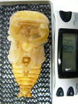 khaobang19.4w.JPG