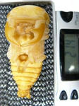 megma21.4f601.JPG