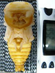 megma25.6f6m.JPG