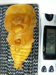 megma26.4m01.JPG