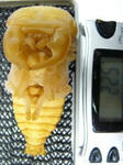 tigerhill22.5wf1.JPG