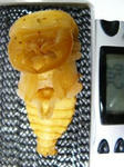 tigerhill24.6wf1a.JPG