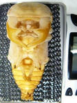 megma32.9-86.JPG
